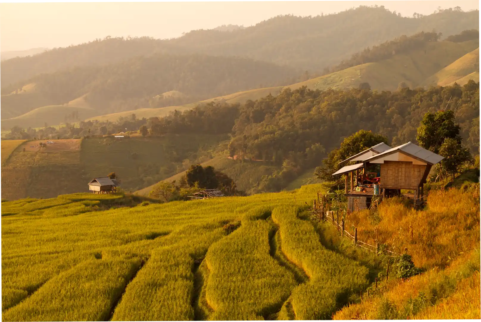 Agriculture export mission
